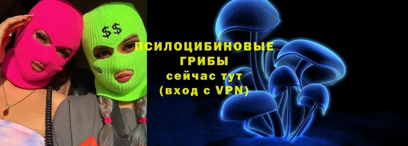 маркетплейс формула  Сатка  Псилоцибиновые грибы Psilocybe  дарнет шоп 